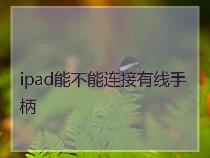 ipad能不能连接有线手柄