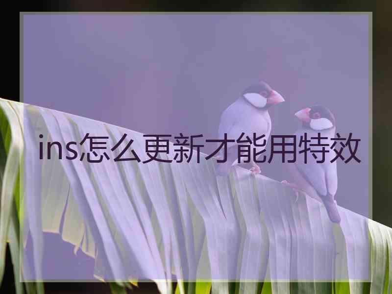 ins怎么更新才能用特效