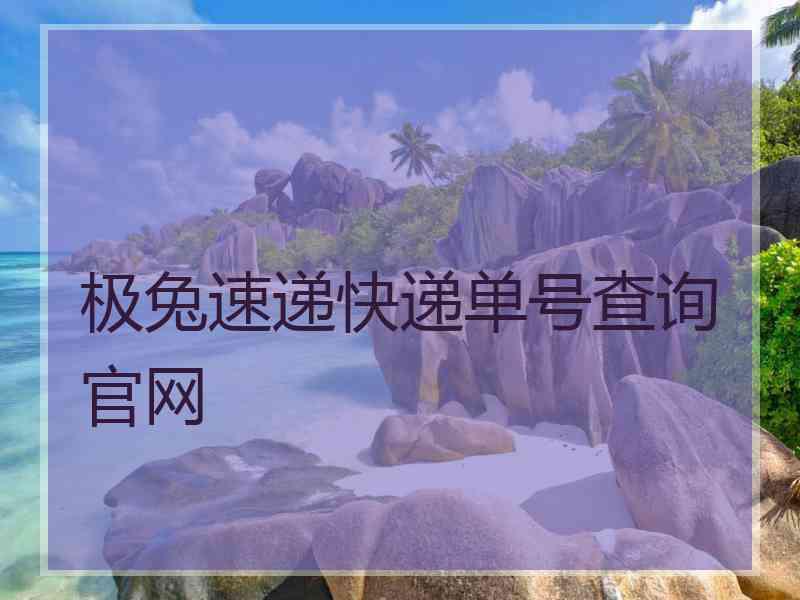 极兔速递快递单号查询官网