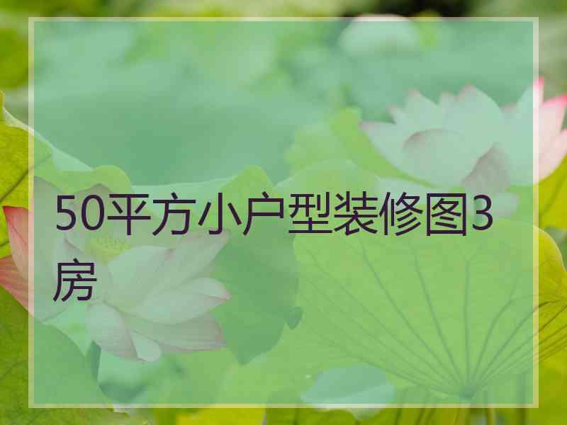 50平方小户型装修图3房