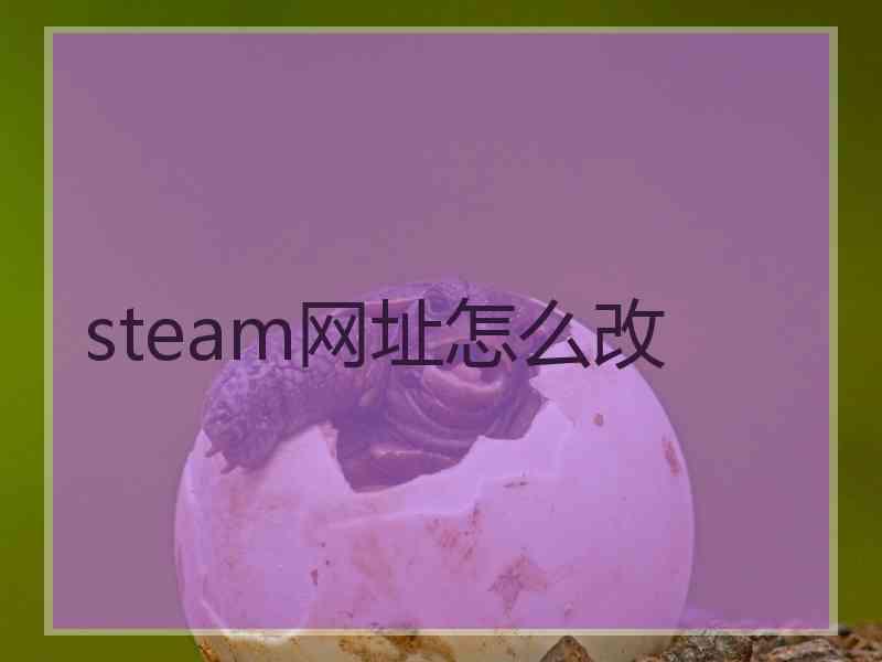 steam网址怎么改