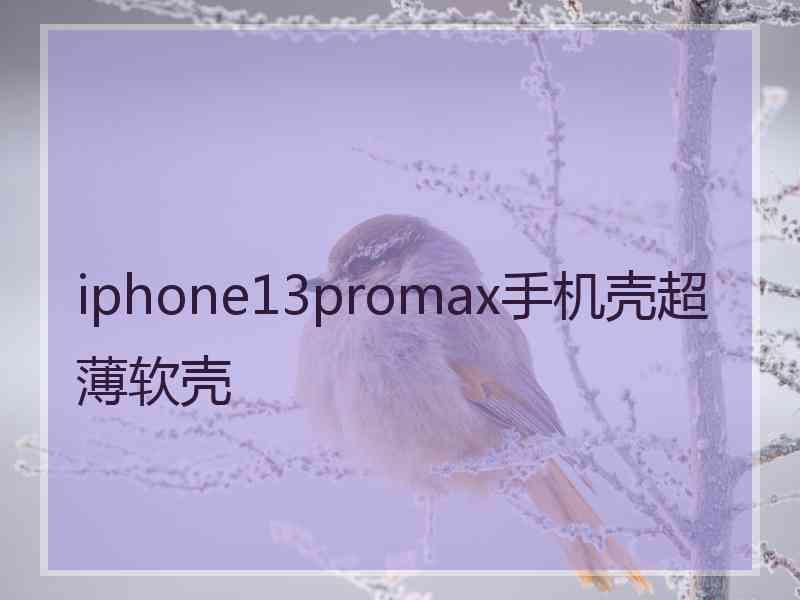 iphone13promax手机壳超薄软壳