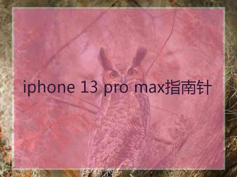 iphone 13 pro max指南针