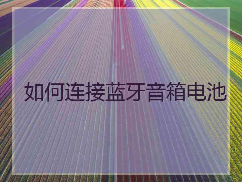 如何连接蓝牙音箱电池