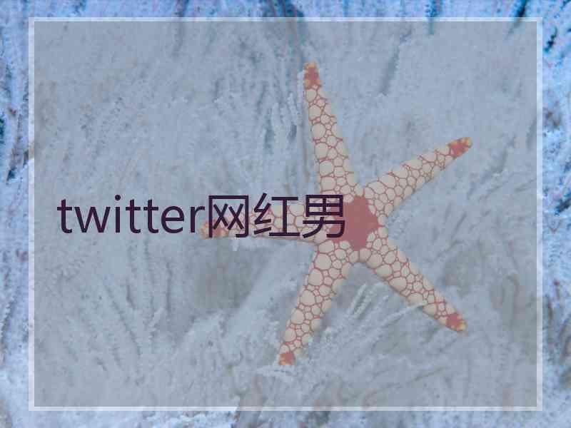 twitter网红男