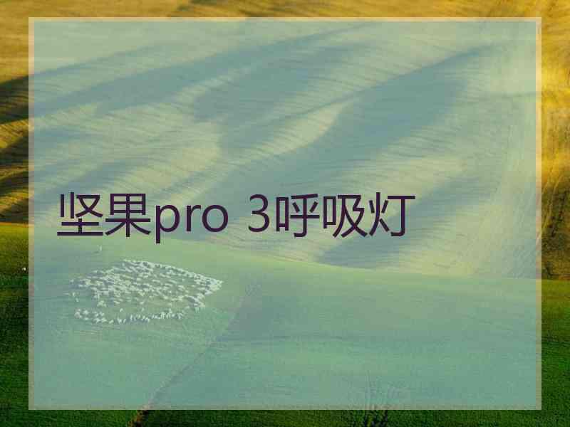 坚果pro 3呼吸灯