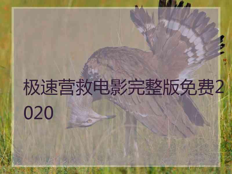 极速营救电影完整版免费2020