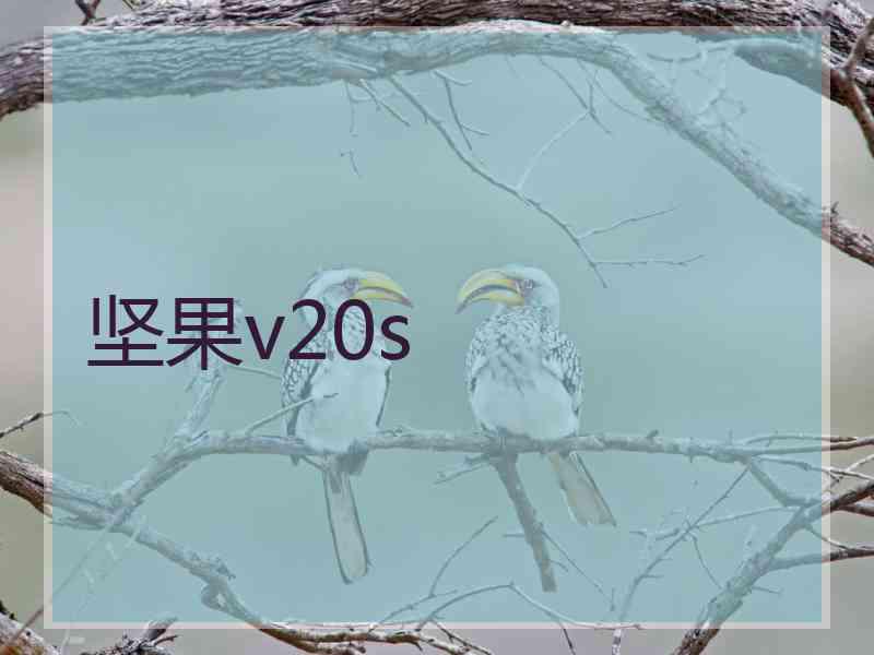 坚果v20s