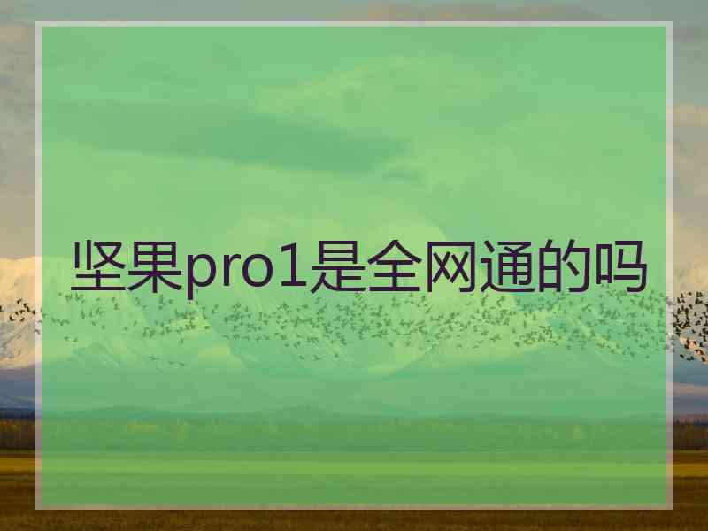 坚果pro1是全网通的吗