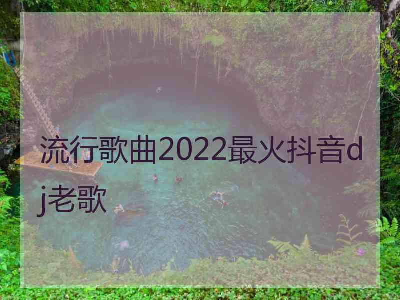 流行歌曲2022最火抖音dj老歌