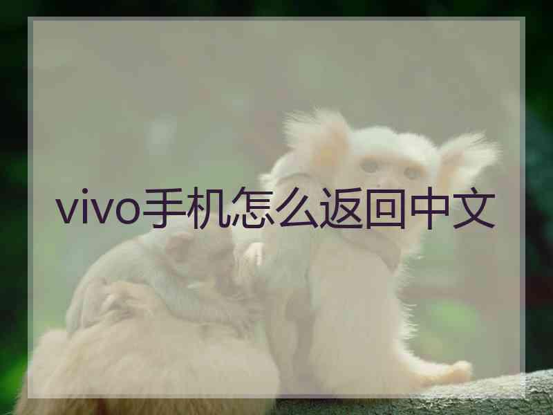 vivo手机怎么返回中文