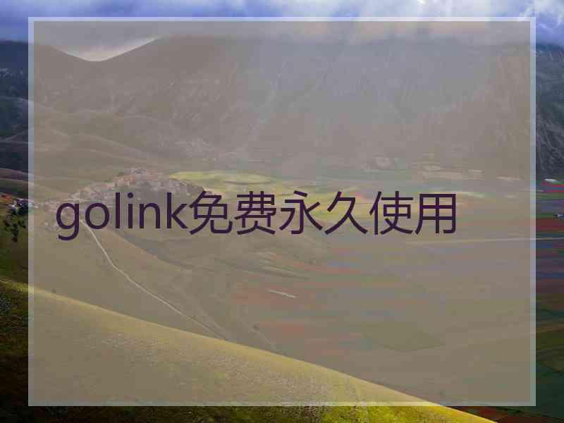 golink免费永久使用