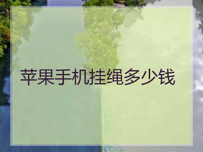 苹果手机挂绳多少钱