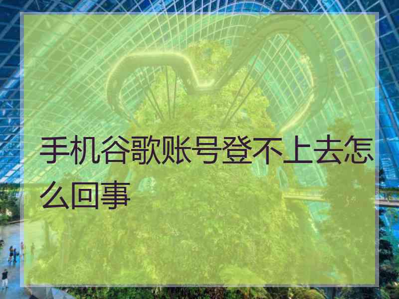 手机谷歌账号登不上去怎么回事