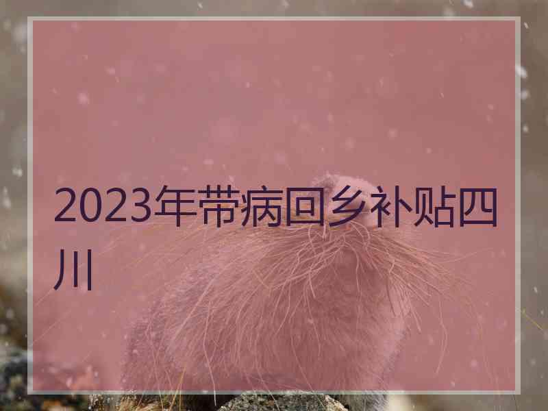 2023年带病回乡补贴四川