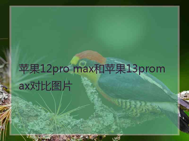 苹果12pro max和苹果13promax对比图片