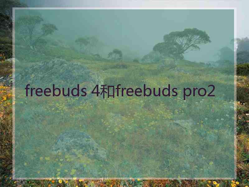 freebuds 4和freebuds pro2