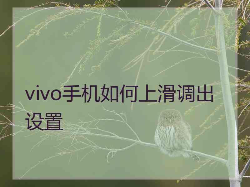 vivo手机如何上滑调出设置