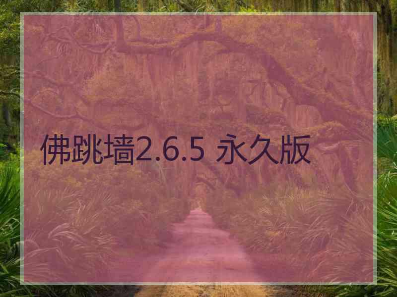 佛跳墙2.6.5 永久版