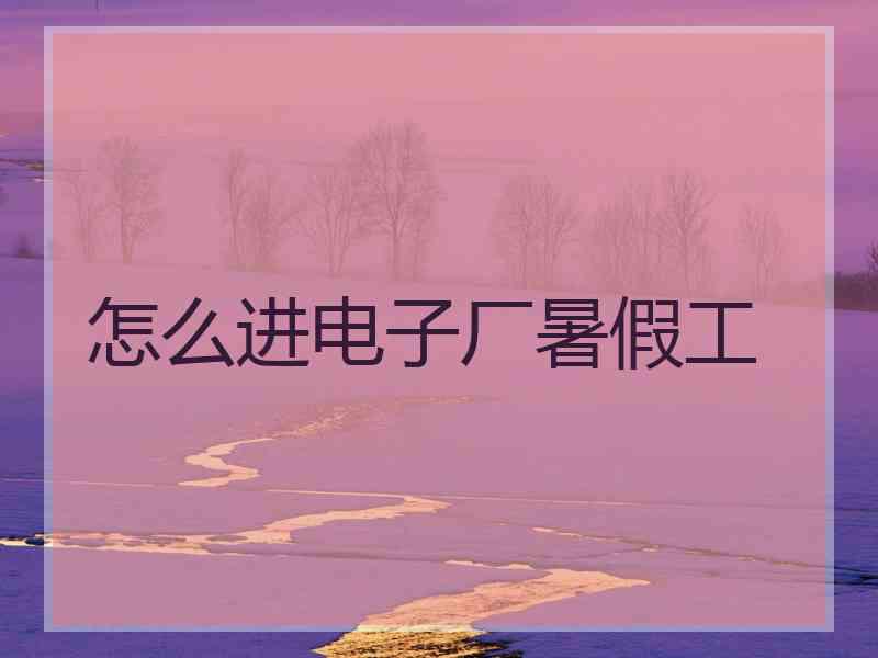 怎么进电子厂暑假工