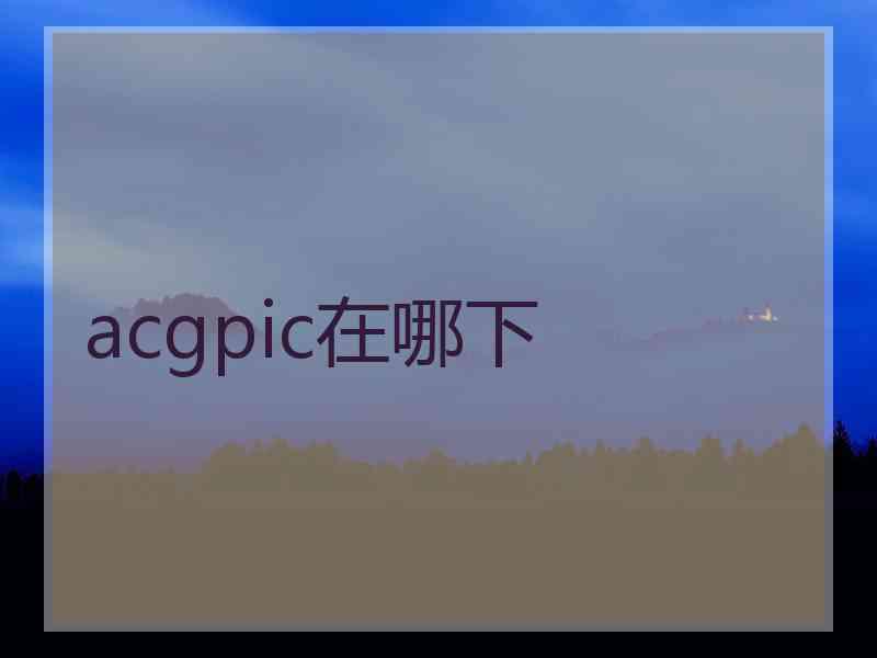 acgpic在哪下