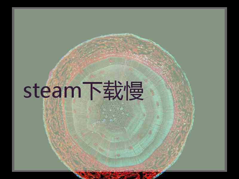 steam下载慢