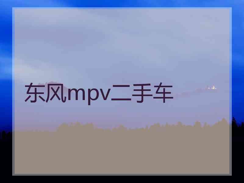 东风mpv二手车