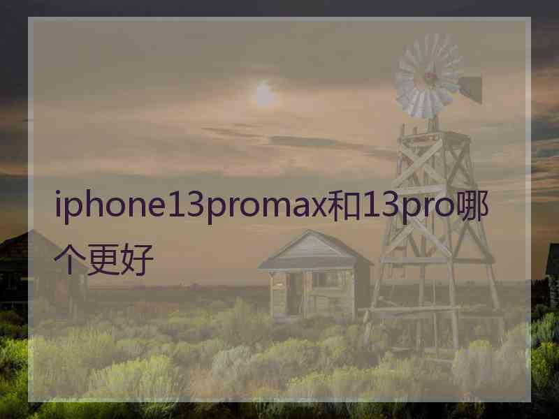 iphone13promax和13pro哪个更好