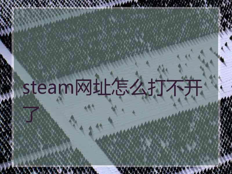 steam网址怎么打不开了