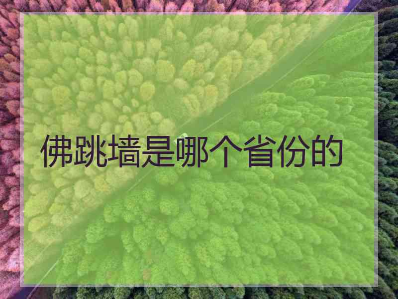 佛跳墙是哪个省份的