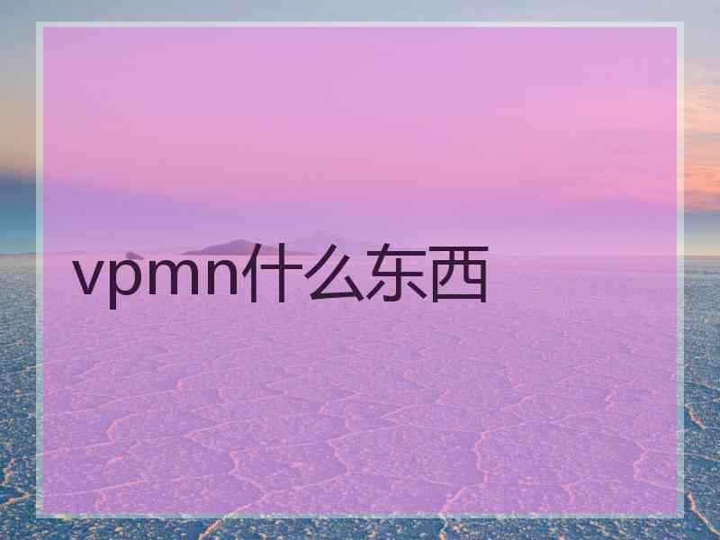 vpmn什么东西