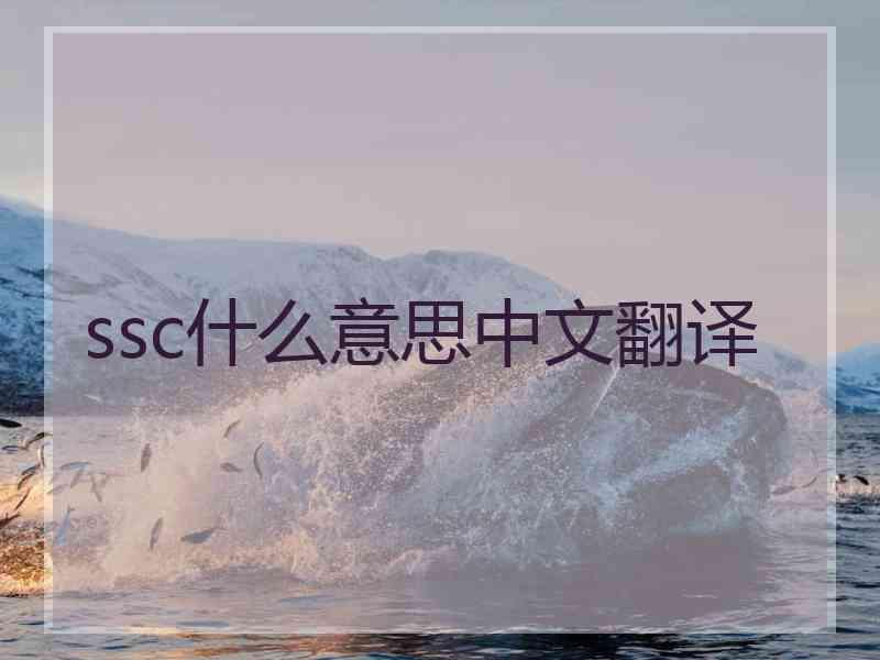 ssc什么意思中文翻译