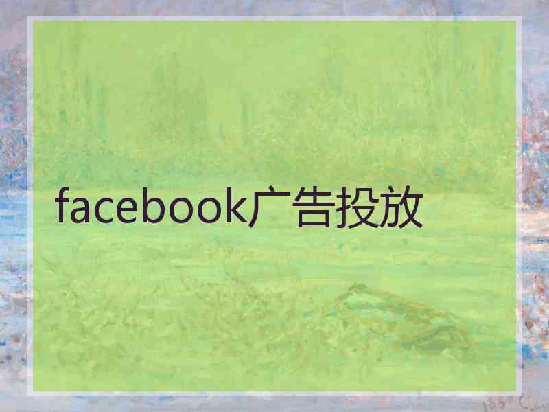 facebook广告投放