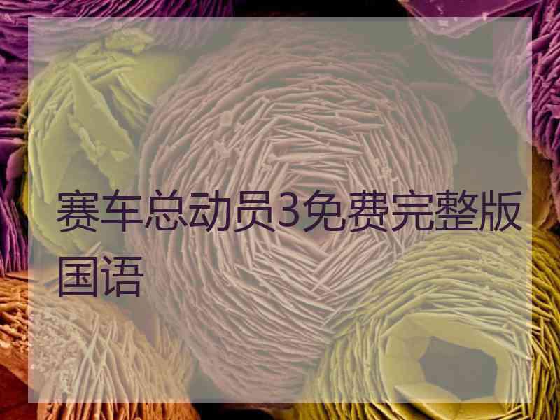 赛车总动员3免费完整版国语