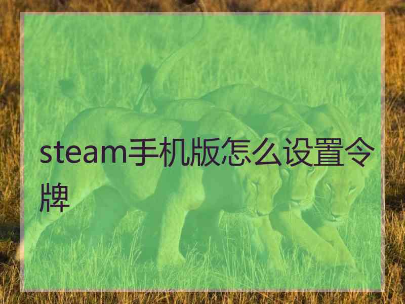 steam手机版怎么设置令牌