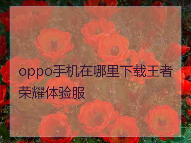 oppo手机在哪里下载王者荣耀体验服