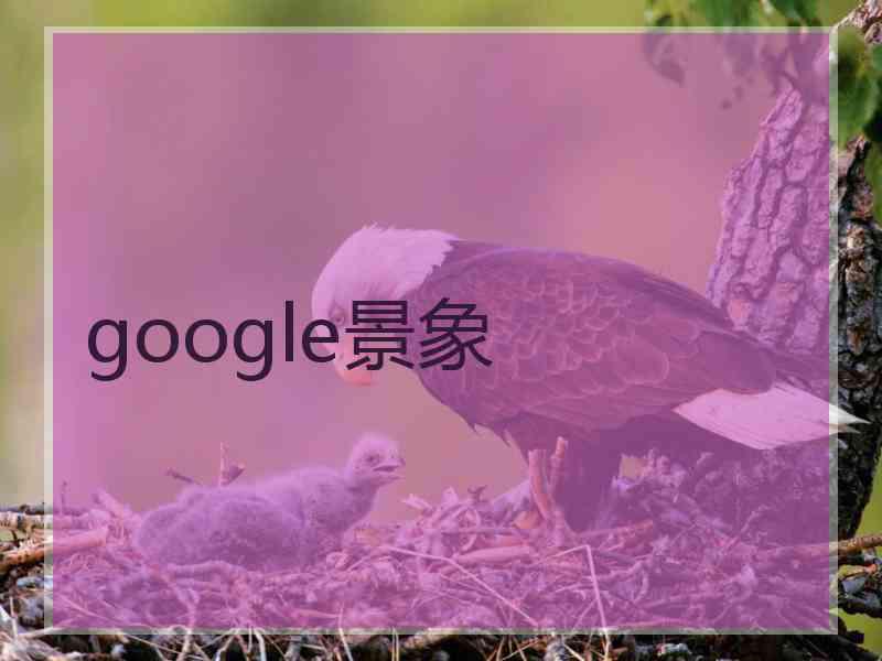 google景象