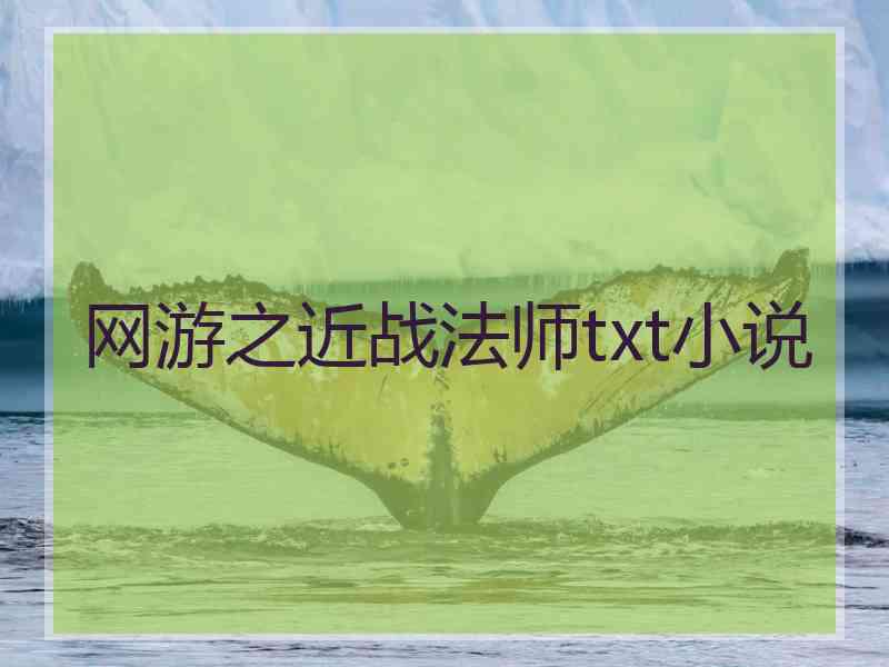 网游之近战法师txt小说