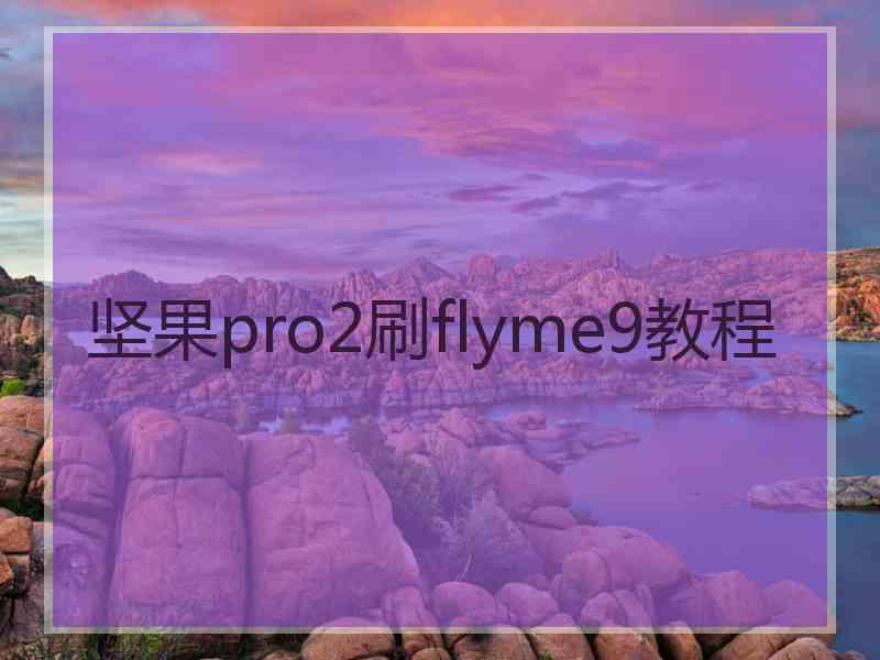 坚果pro2刷flyme9教程