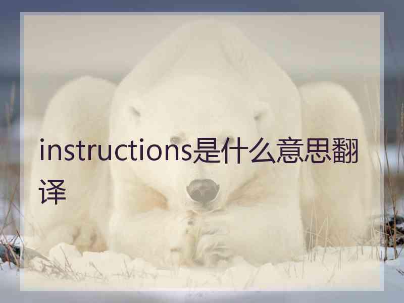 instructions是什么意思翻译