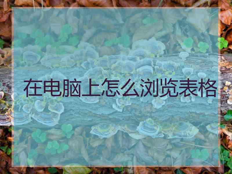 在电脑上怎么浏览表格