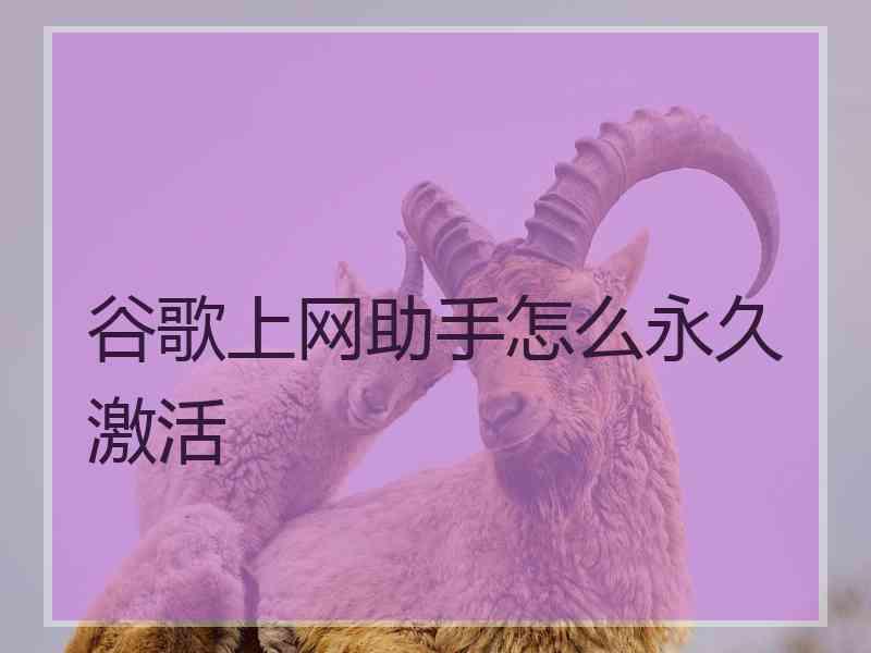 谷歌上网助手怎么永久激活