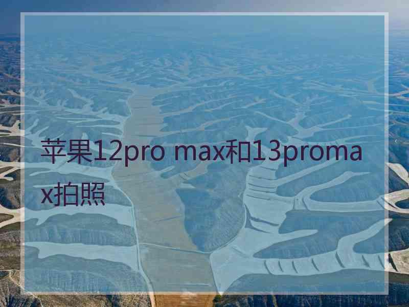 苹果12pro max和13promax拍照