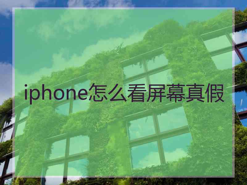 iphone怎么看屏幕真假