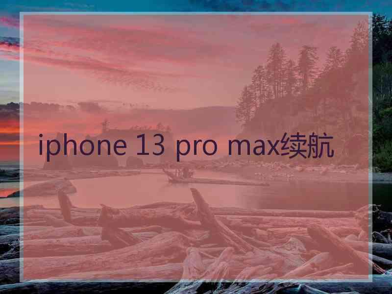 iphone 13 pro max续航