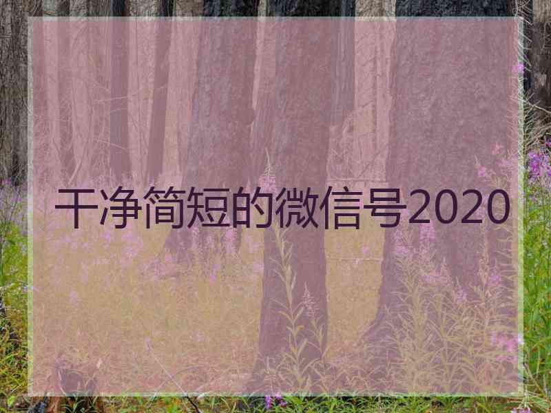 干净简短的微信号2020