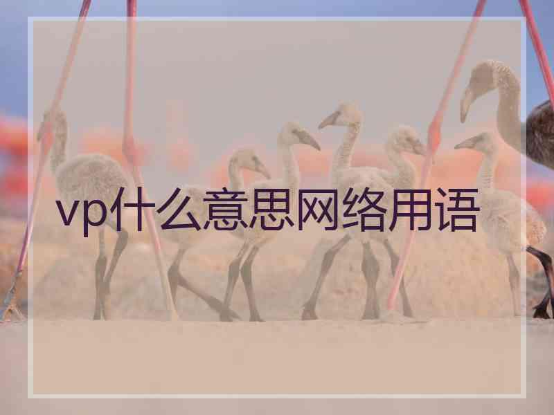 vp什么意思网络用语