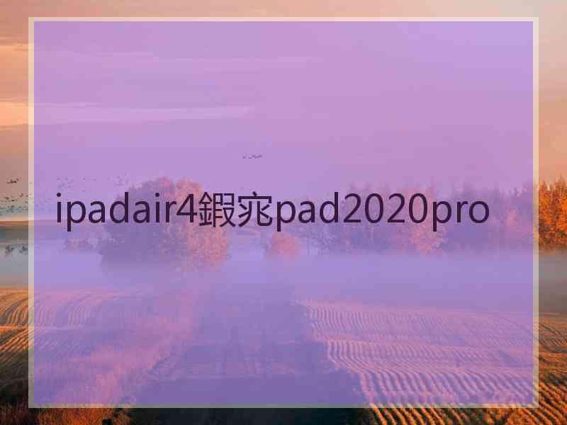 ipadair4鍜宨pad2020pro