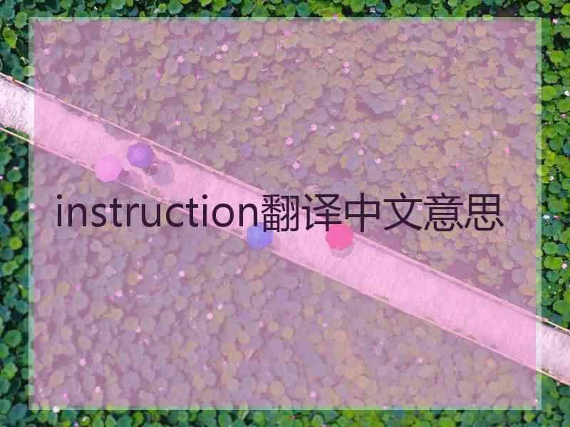 instruction翻译中文意思