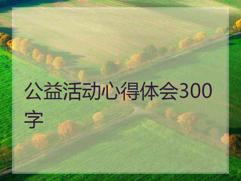 公益活动心得体会300字